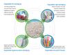 Materiales biodegradables de partículas plásticas de ácido poliláctico M5000 para película de mantillo